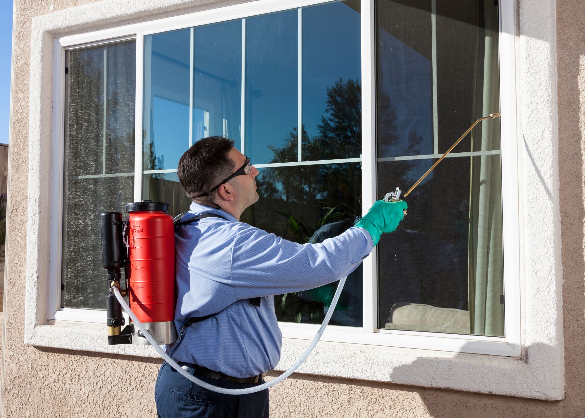 Pest Control Lake Mary