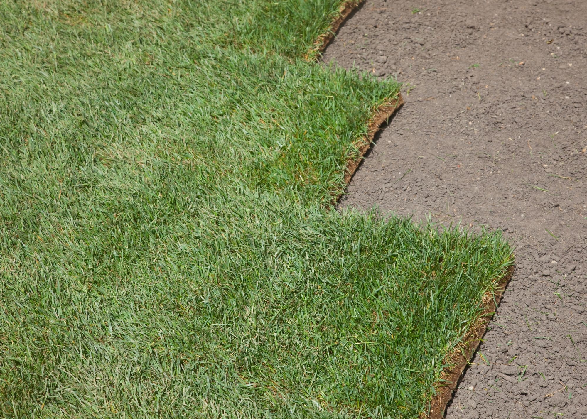 Sod Installation in Orlando Fl