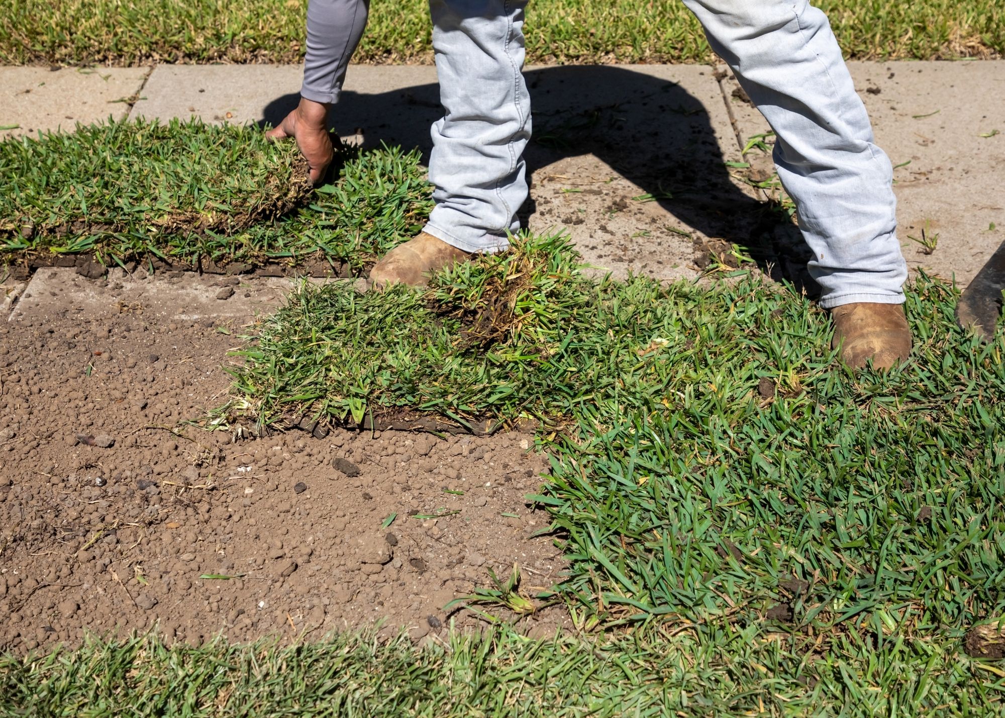 Sod Installation in Orlando FL