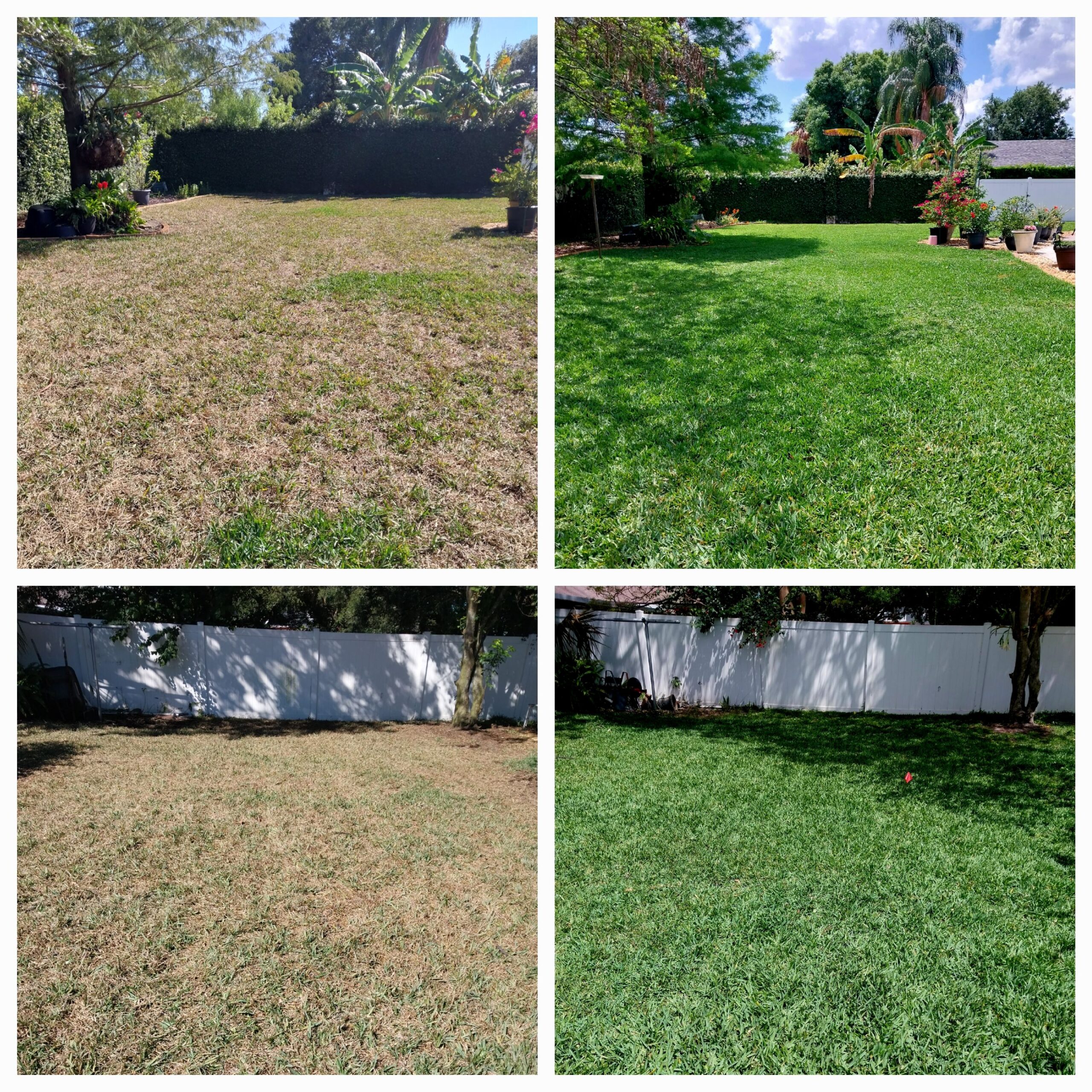 Weed Control Orlando