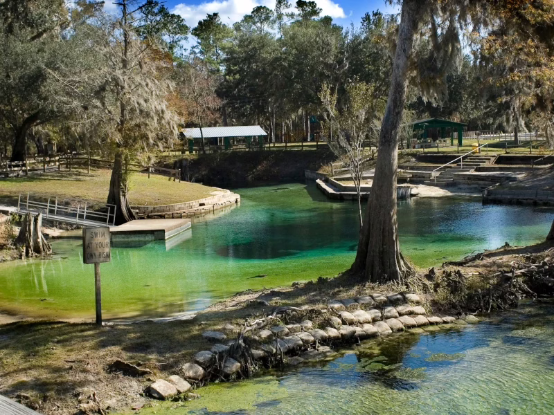 Lawn Care Winter Springs